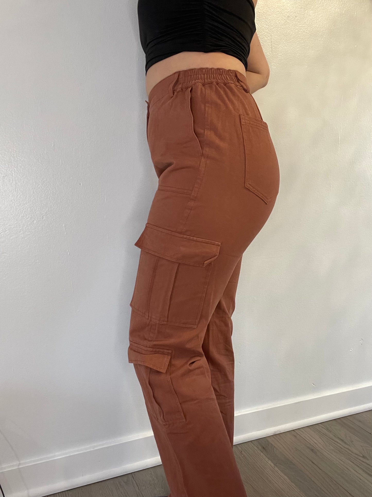 Brick Cargo Pants