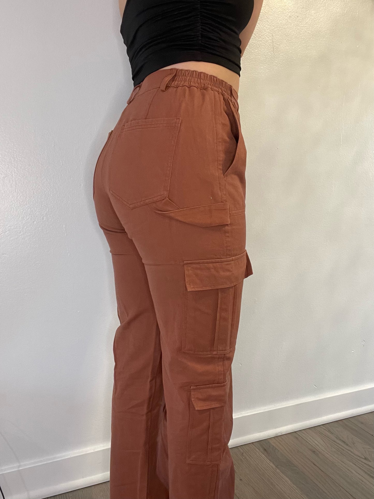 Brick Cargo Pants