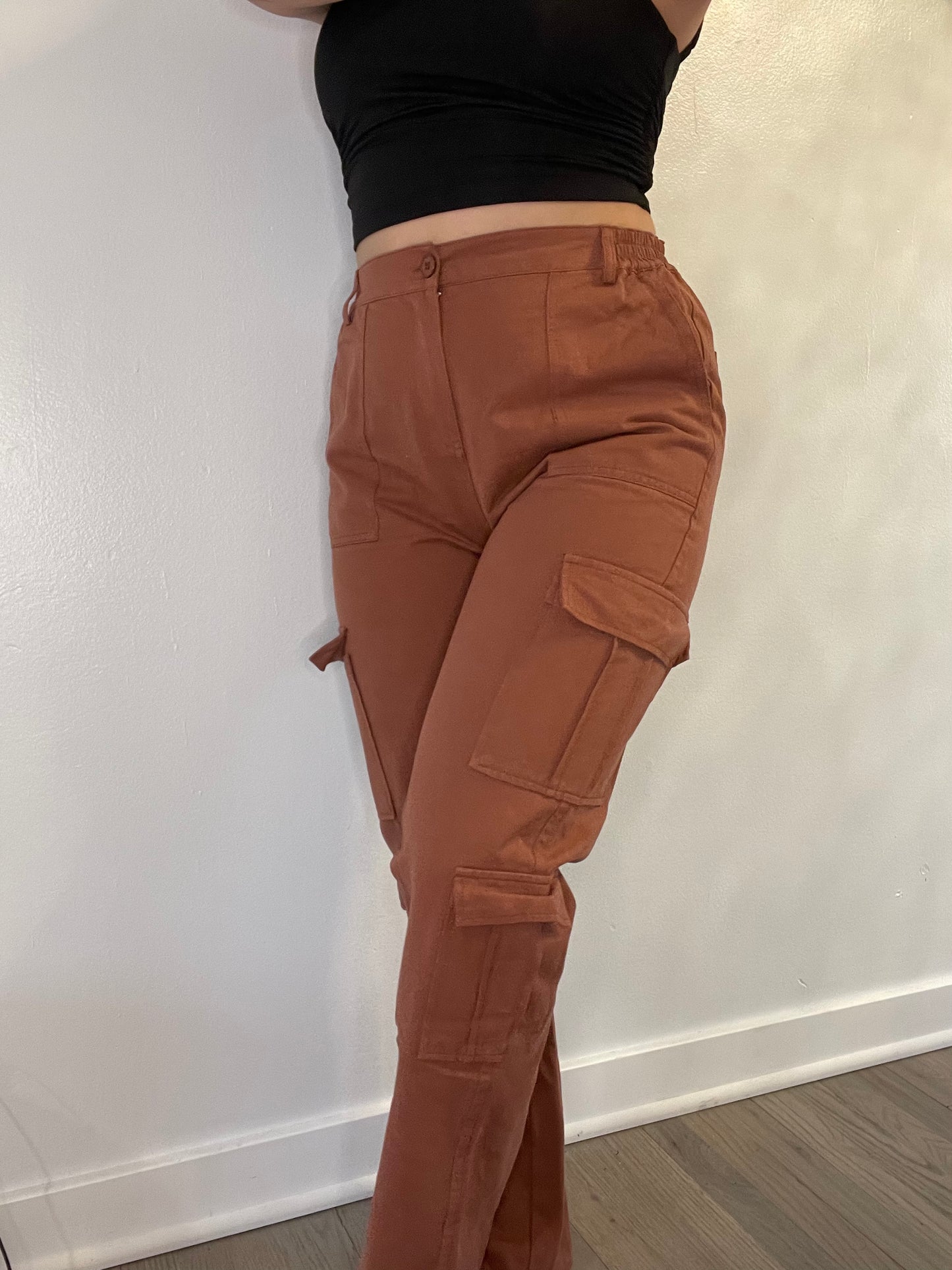 Brick Cargo Pants